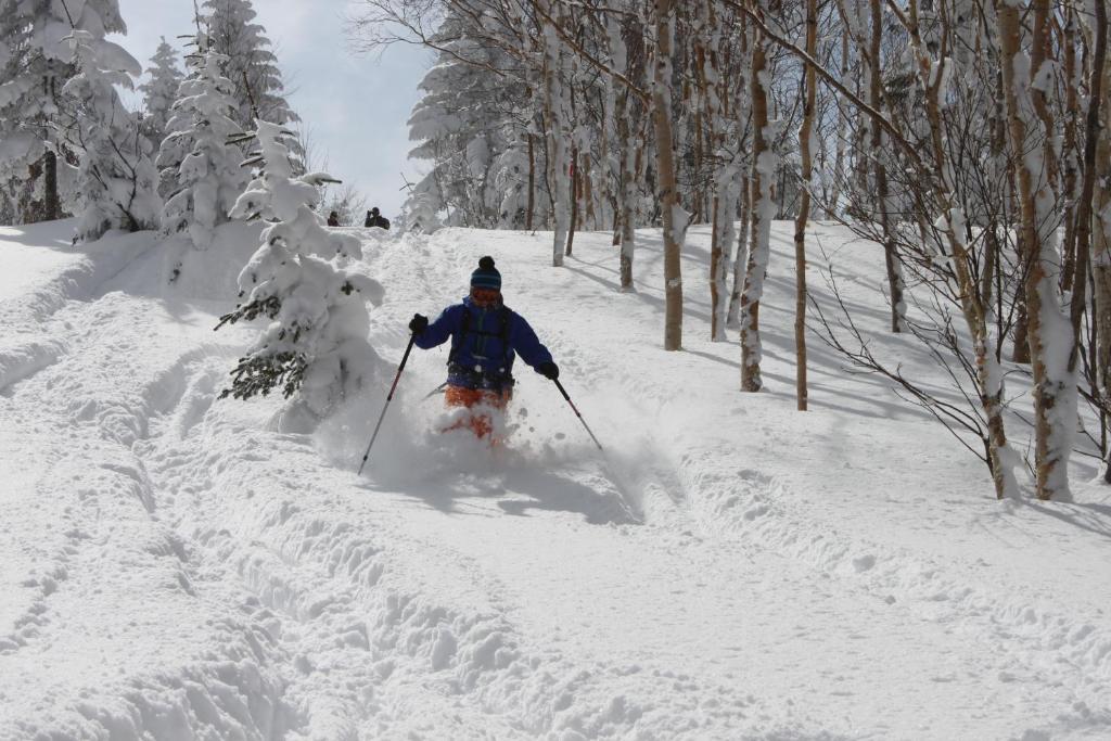 Aspen Shiga Hotel Yamanouchi  Exterior foto