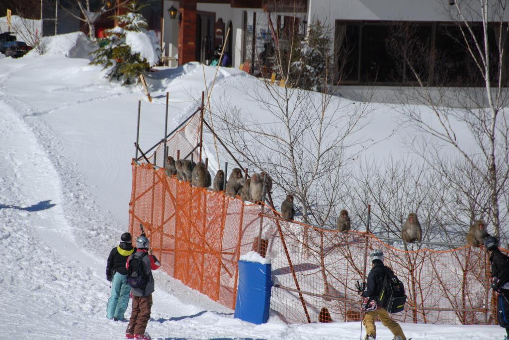 Aspen Shiga Hotel Yamanouchi  Exterior foto